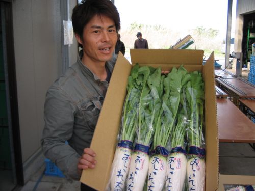 osharedaikon ooba145.jpg